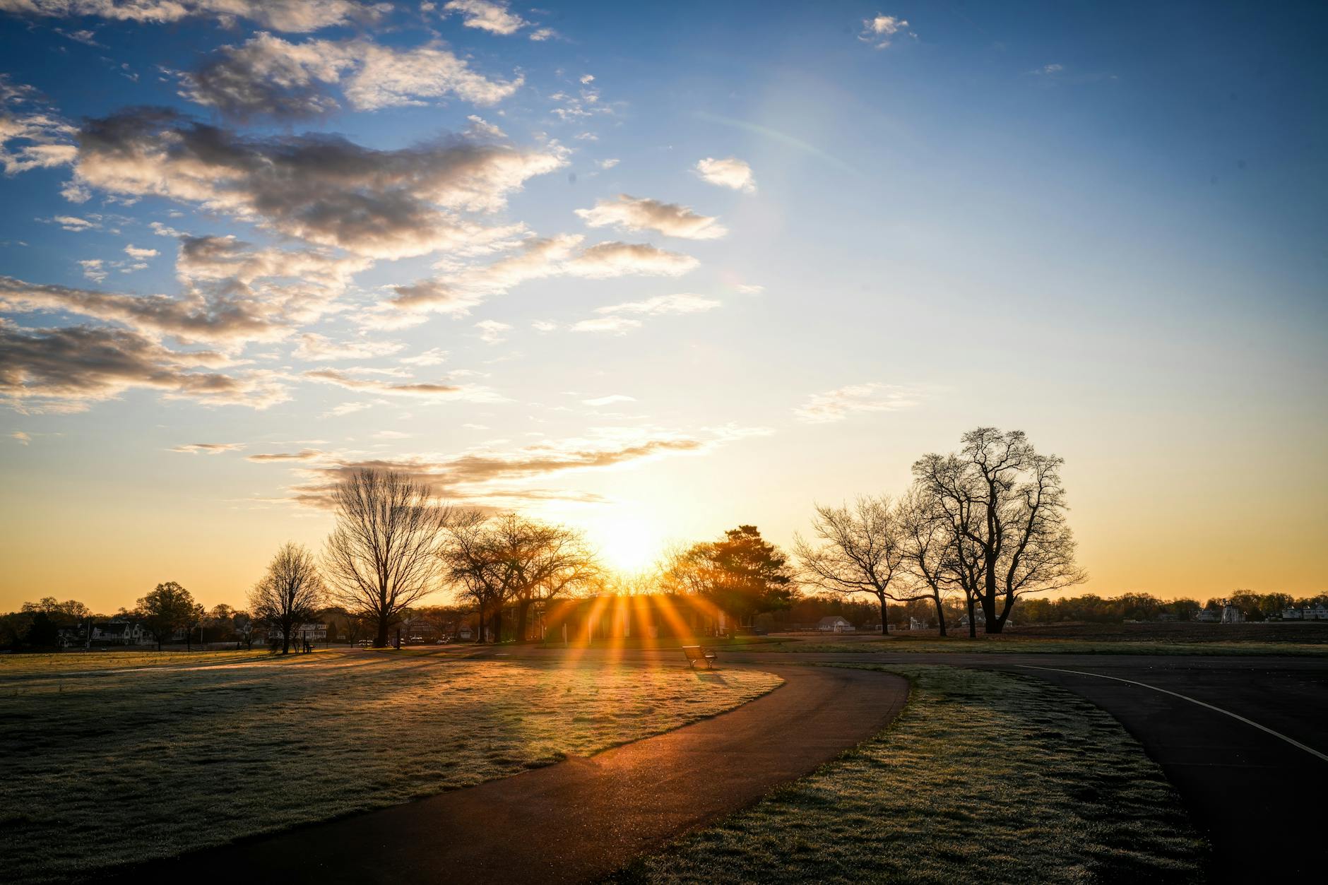 Woman walking a new path in morning sunlight representing the fresh beginning energy of angel number 10