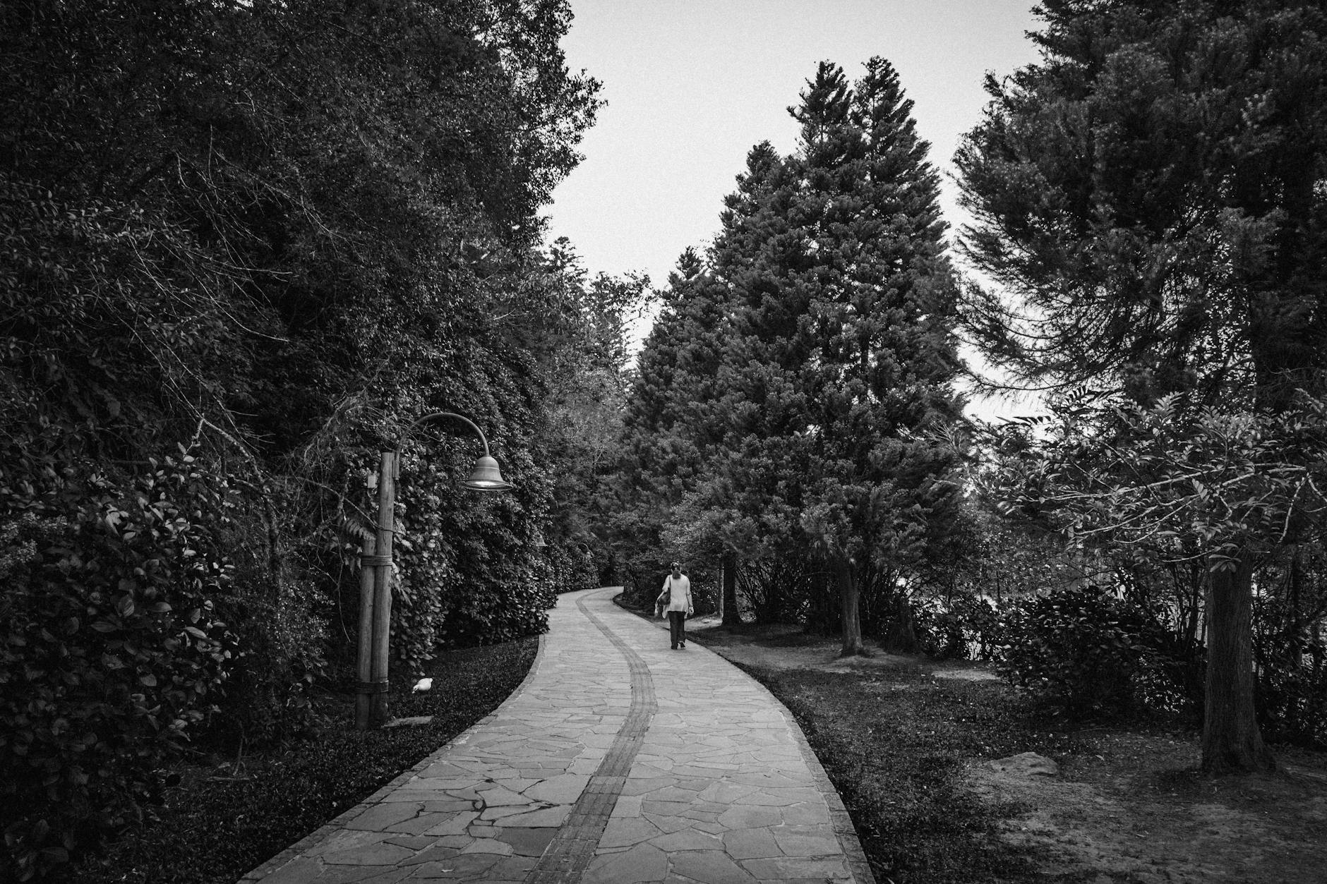 Woman walking forward on a path with purpose and ease representing the steady step-by-step progress of the 234 angel number