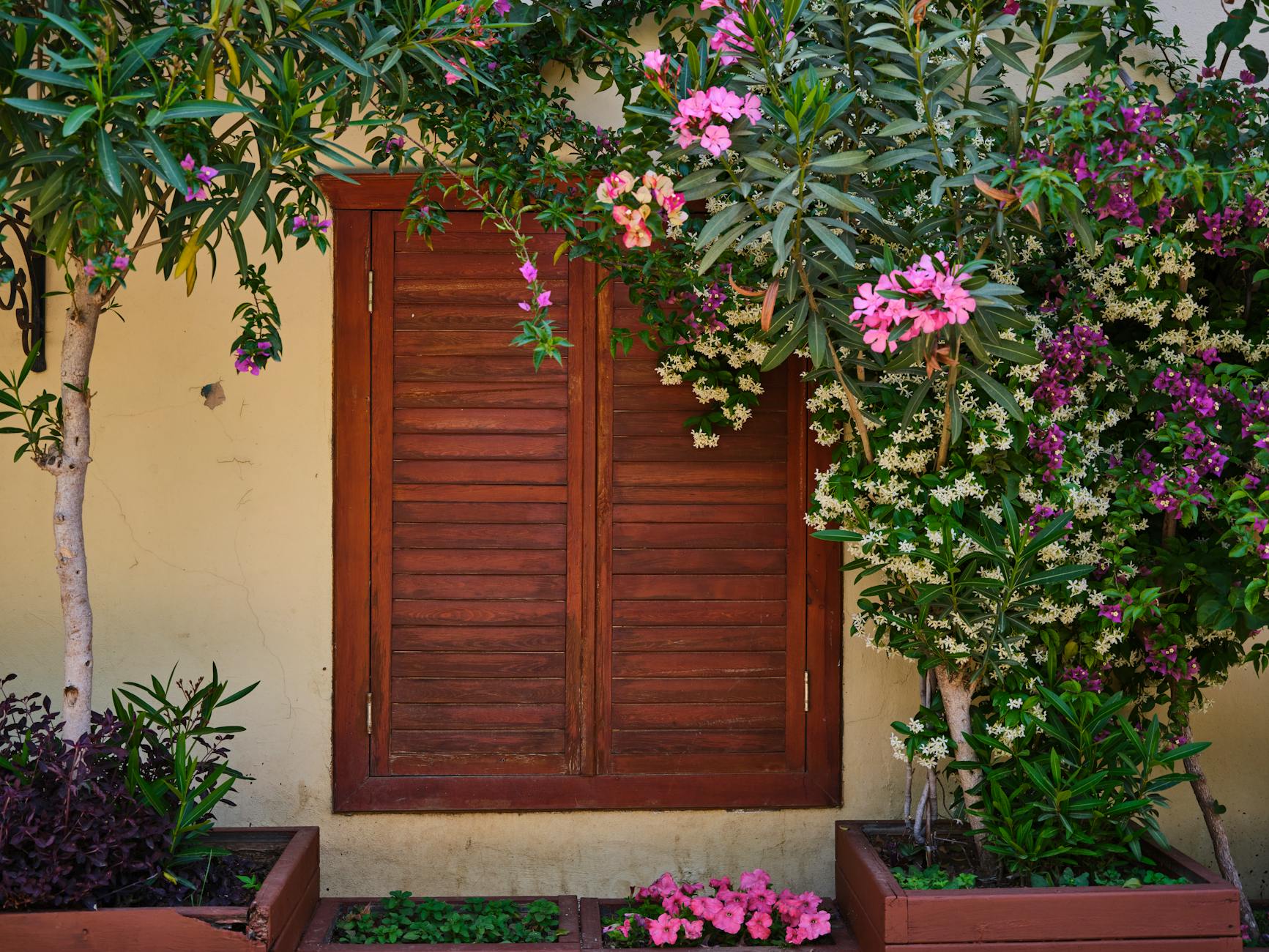 Warm candles and flowers in a home setting — the nurturing, creative, love-filled atmosphere that angel number 636 calls you toward